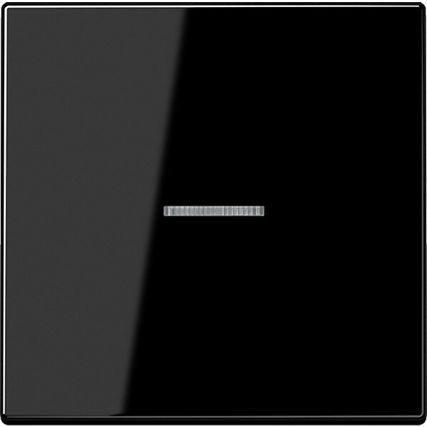 JUNG Wippe Lichtleiter ws für Taster LS 990 KO5 SW